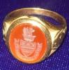 SAR Seal Ring